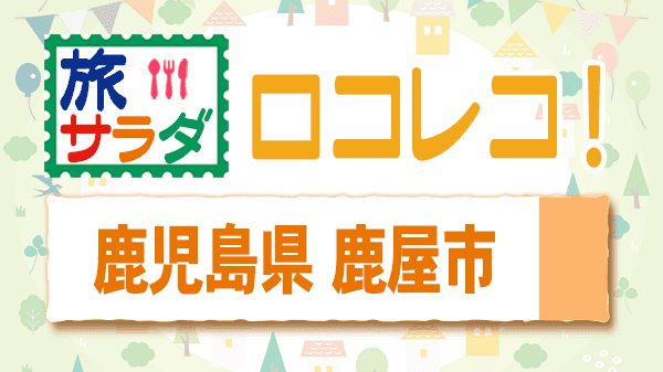 旅サラダ ロコレコ 鹿児島県 鹿屋市