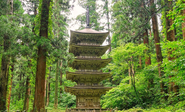 出羽三山神社 羽黒山五重塔