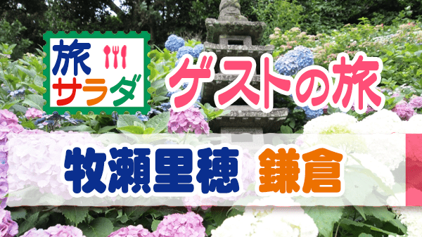 旅サラダ ゲストの旅 牧瀬里穂 鎌倉