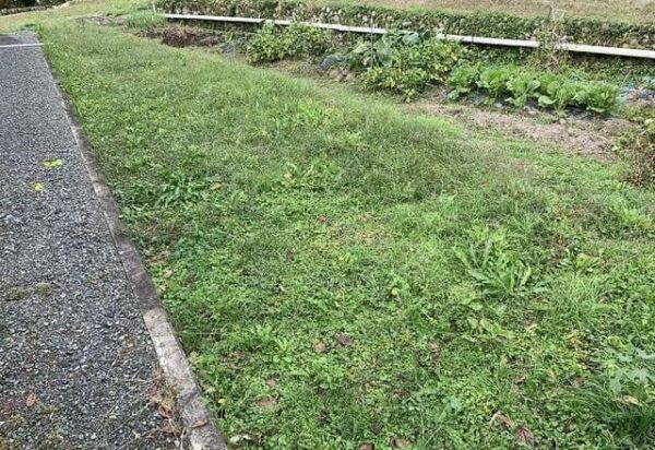 よ～いドン あいLOVE 週末 田舎暮らし 兵庫県 丹波市