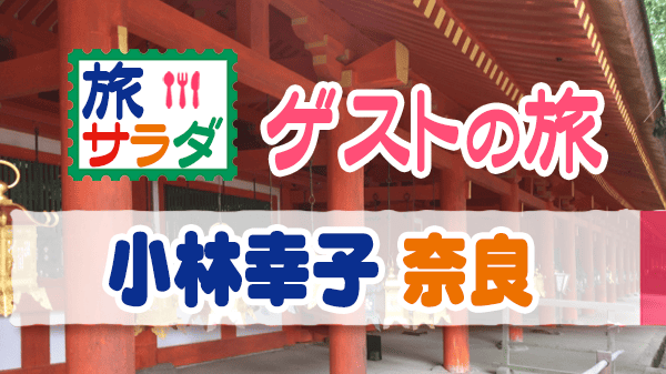 旅サラダ ゲストの旅 小林幸子 奈良