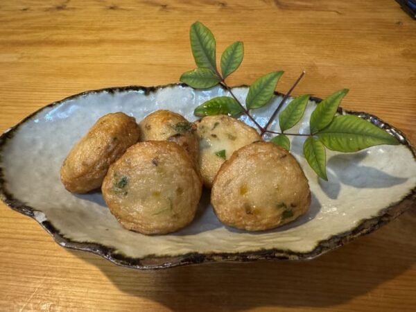 ケンコバのほろ酔いビジ ホ泊 鹿児島県 霧島市 さつまあげ
