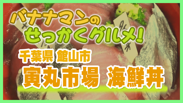 バナナマンのせっかくグルメ 千葉県 館山市 寅丸市場 海鮮丼