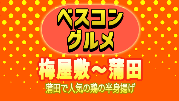 ベスコングルメ 梅屋敷 蒲田 鶏の半身揚げ
