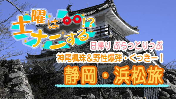 土曜はナニする 日帰り ぷらっとりっぷ 神尾楓珠 野性爆弾 くっきー！ 静岡 浜松