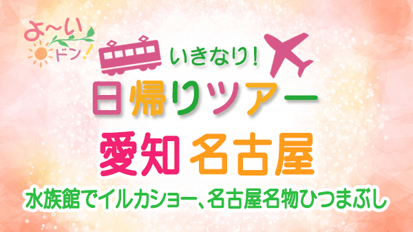 よーいドン いきなり日帰りツアー 愛知県 名古屋市 水族館 ひつまぶし
