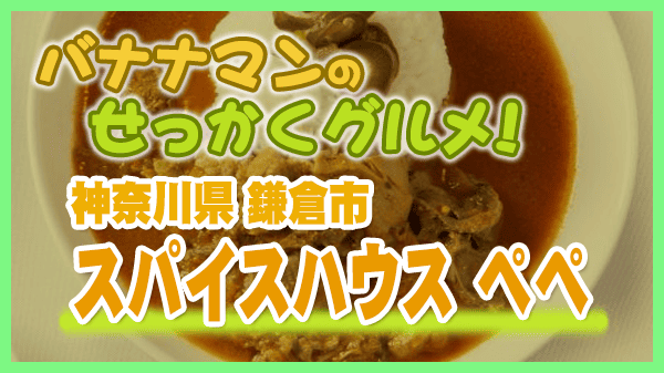 バナナマンのせっかくグルメ 神奈川 鎌倉市 スパイスハウス ペペ カレー