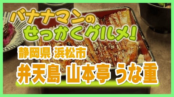 バナナマンのせっかくグルメ 静岡県 浜松市 うなぎ 山本亭 うな重