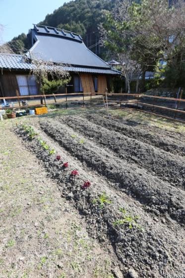 あいLOVE週末田舎暮らし よ～いドン 酒井藍 格安物件 別荘 古民家 兵庫県加西市