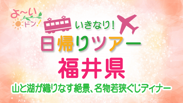 よーいドン いきなり日帰りツアー 福井県