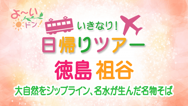 よーいドン いきなり日帰りツアー 徳島県 祖谷
