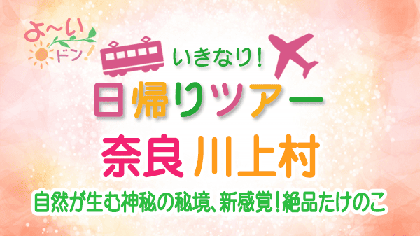 よーいドン いきなり日帰りツアー 奈良 川上村