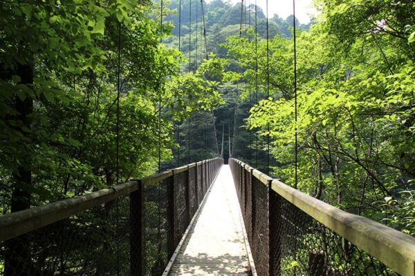 栃木 那須塩原 回顧の吊り橋