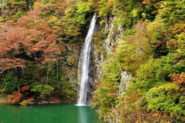 栃木 那須塩原 回顧の吊り橋 回顧の滝