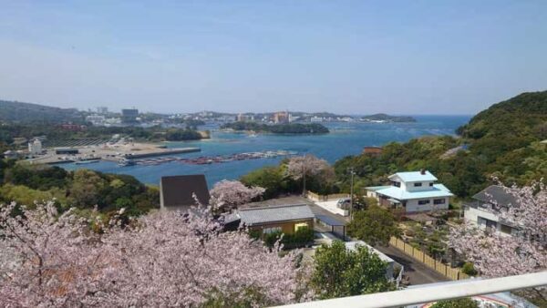 よーいドン あいLOVE 週末 田舎暮らし 和歌山 南紀 白浜町