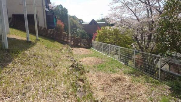 よーいドン あいLOVE 週末 田舎暮らし 和歌山 南紀 白浜町