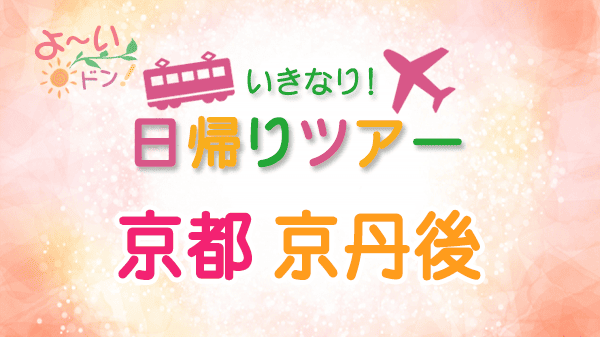 よーいドン いきなり日帰りツアー 京都 京丹後