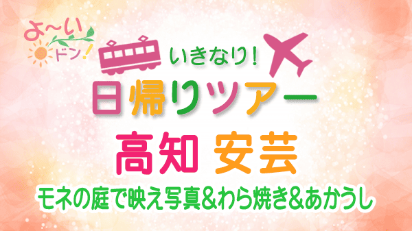 よーいドン いきなり日帰りツアー 高知県 安芸市