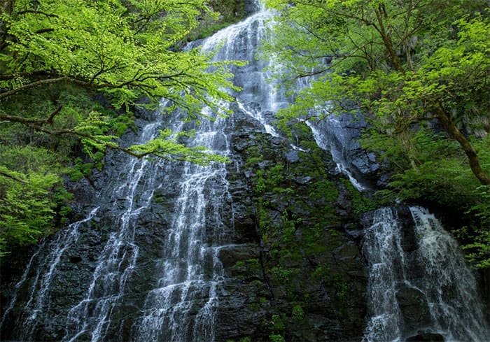 よーいドン いきなり日帰りツアー 福井県 鯖江市