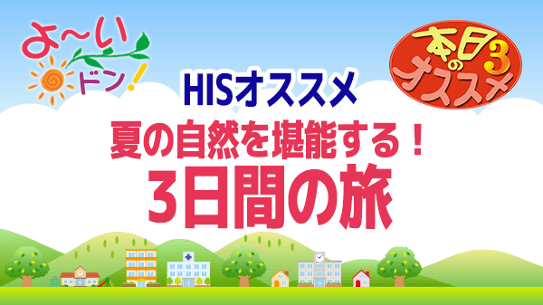 よ～いドン おすすめ３ H.I.S 国内旅行 沖縄 小浜島 奄美大島 北海道