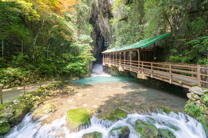 よーいドン いきなり日帰りツアー 山口県 秋吉台 秋芳洞