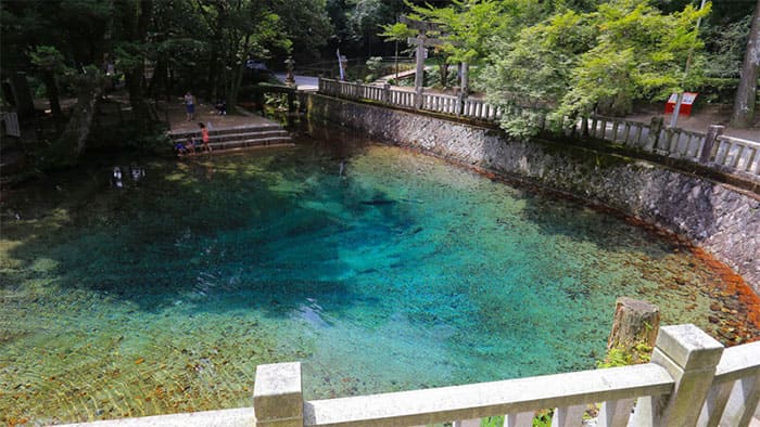 よーいドン いきなり日帰りツアー 山口県 別府弁天池