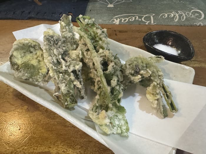 ケンコバのほろ酔いビジホ泊 長野県 長野市 大衆酒場 季節料理 はな村