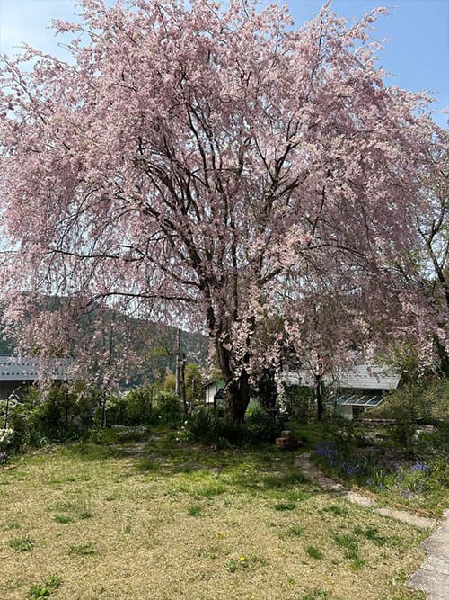 よ～いドン あいLOVE 週末 田舎暮らし 京都府 南丹市