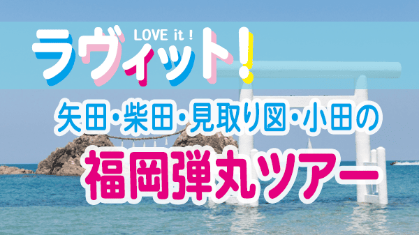 ラヴィット LOVEit ラビット 福岡弾丸ツアー 矢田亜希子 アンタッチャブル柴田 見取り図 おいでやす小田