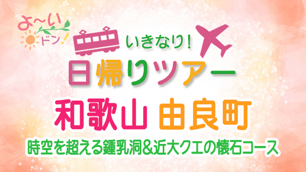 よーいドン いきなり日帰りツアー 和歌山 由良町
