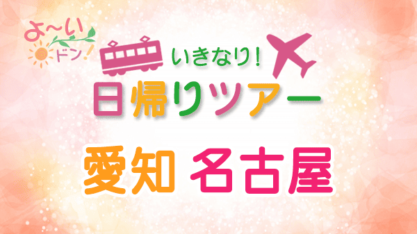 よーいドン いきなり日帰りツアー 愛知県 名古屋市