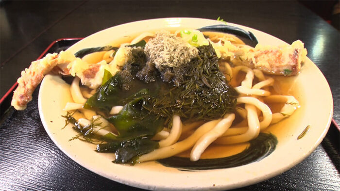 京都 宮津市 手打本うどん どんどんや 宮津海藻うどん