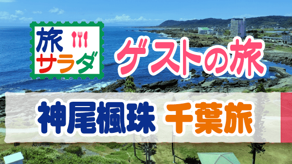 旅サラダ ゲストの旅 神尾楓珠 千葉 房総半島