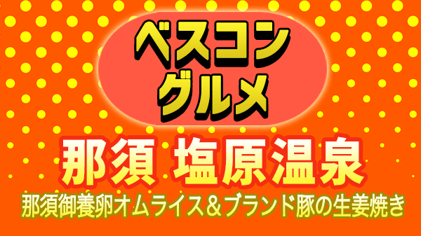 ベスコングルメ 栃木県 那須 塩原温泉 生姜焼き