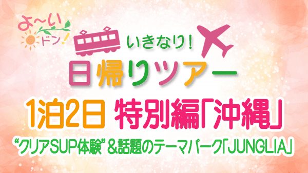 よーいドン いきなり日帰りツアー 特別編 1泊2日 沖縄