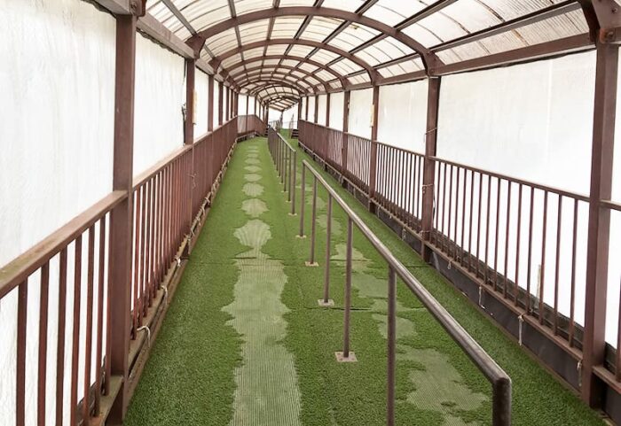 奥飛騨 クマ牧場