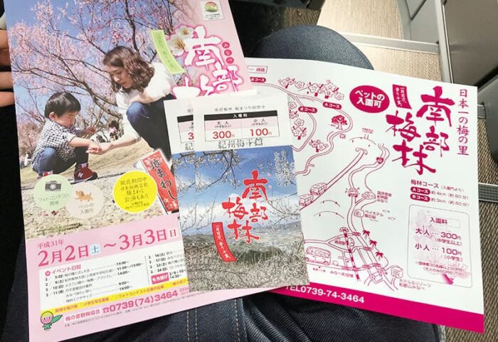 和歌山日帰りバスツアー 南部梅林 入場チケット