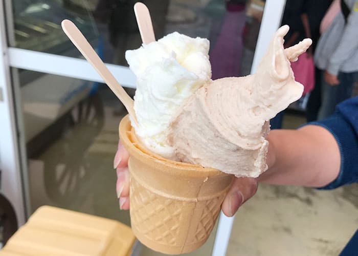 滋賀 成田ふれあい牧場 ジェラート