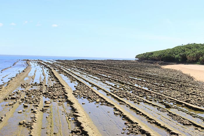 宮崎 鬼の洗濯板 青島