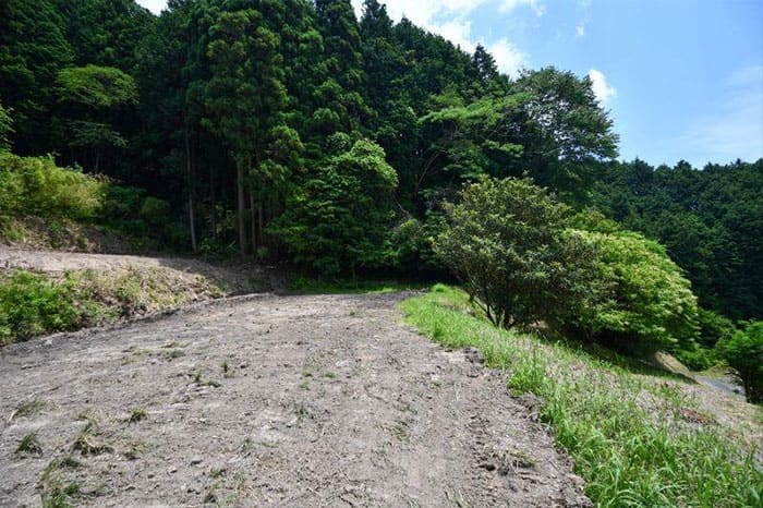 よ～いドン あいLOVE 週末 田舎暮らし 奈良県 奈良市