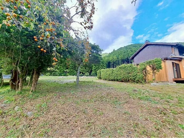 よーいドン あいLOVE 週末 田舎暮らし 三重県 松阪市 多気町