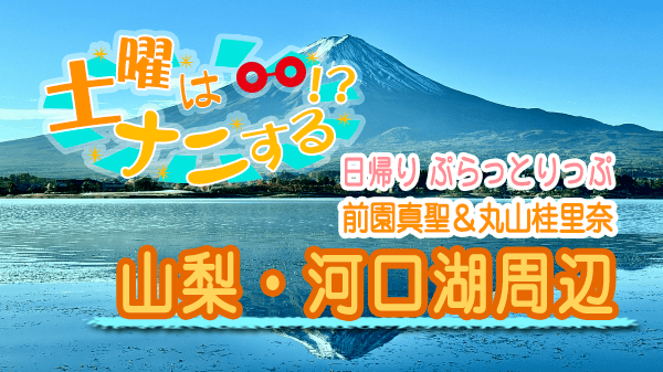 土曜はナニする 日帰り ぷらっとりっぷ 前園真聖 丸山桂里奈 山梨県 河口湖周辺