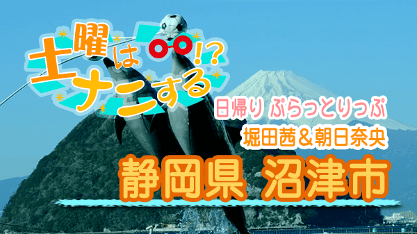 土曜はナニする 日帰り ぷらっとりっぷ 堀田茜 朝日奈央 静岡県 沼津市