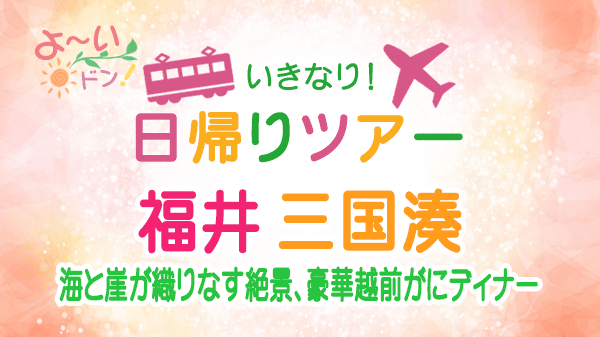 よーいドン いきなり日帰りツアー 福井 三国湊