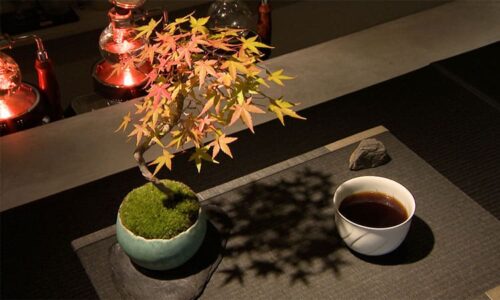 愛知県 名古屋市 彩盆の間