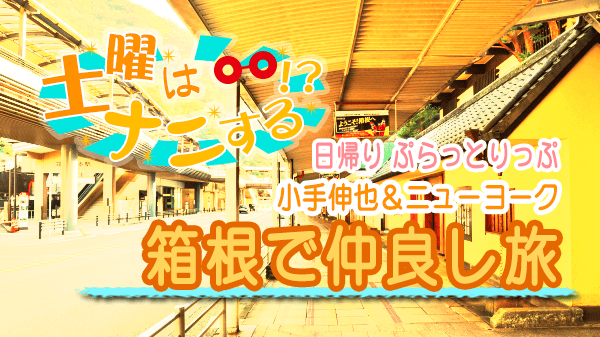 土曜はナニする 日帰り ぷらっとりっぷ 小手伸也 ニューヨーク 箱根