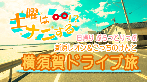 土曜はナニする 日帰り ぷらっとりっぷ 新浜レオン こっちのけんと 横須賀 ドライブ旅