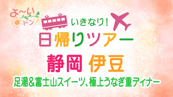 よーいドン いきなり日帰りツアー 静岡県 伊豆