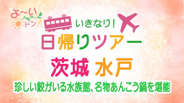 よーいドン いきなり日帰りツアー 茨城県 水戸市 アンコウ鍋