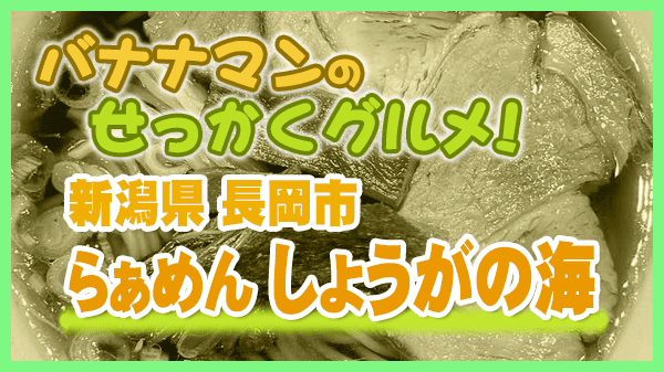 バナナマンのせっかくグルメ 新潟県 長岡市 らぁめん しょうがの海 しょうが醤油ラーメン